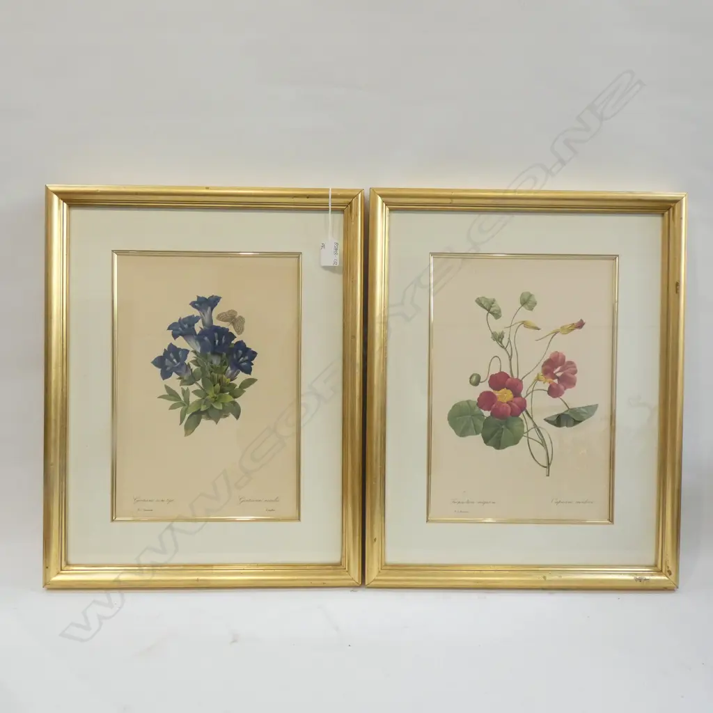 PR GILT FRAMED BOTANICAL PRINTS 230 X 340MM Image 1++