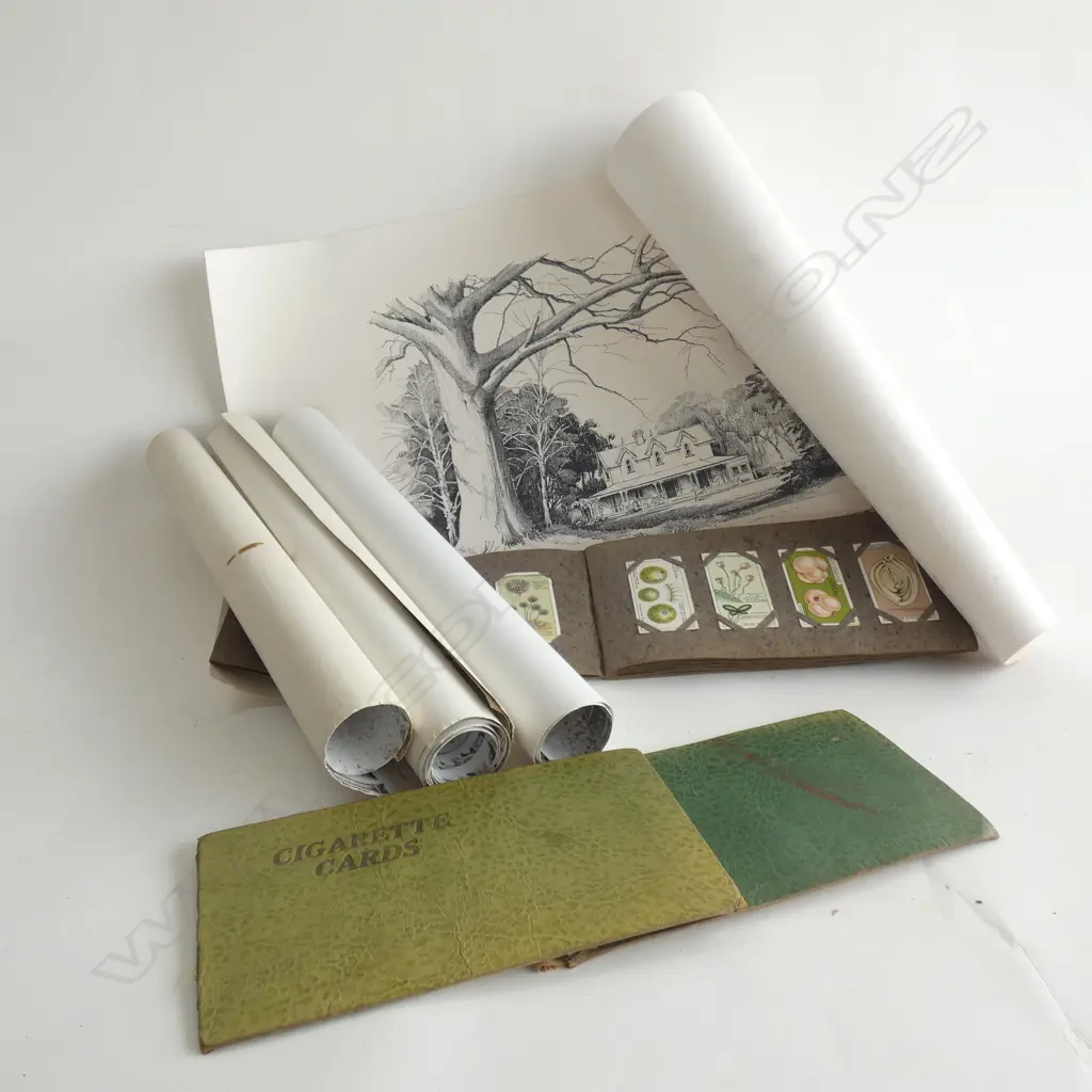 ROLL OF OLD PRINTS & PHOTOGRAPHS + ALBUM OLD CIGARETTE CARDS (ALBUM COVER AF) Image 1++