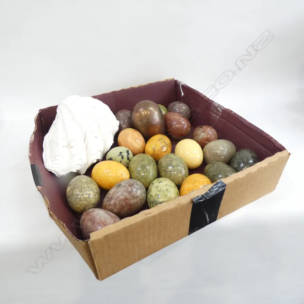 BOX ASST MARBLE EGGS  & PR CLAM SHELLS L 190MM Image 1++
