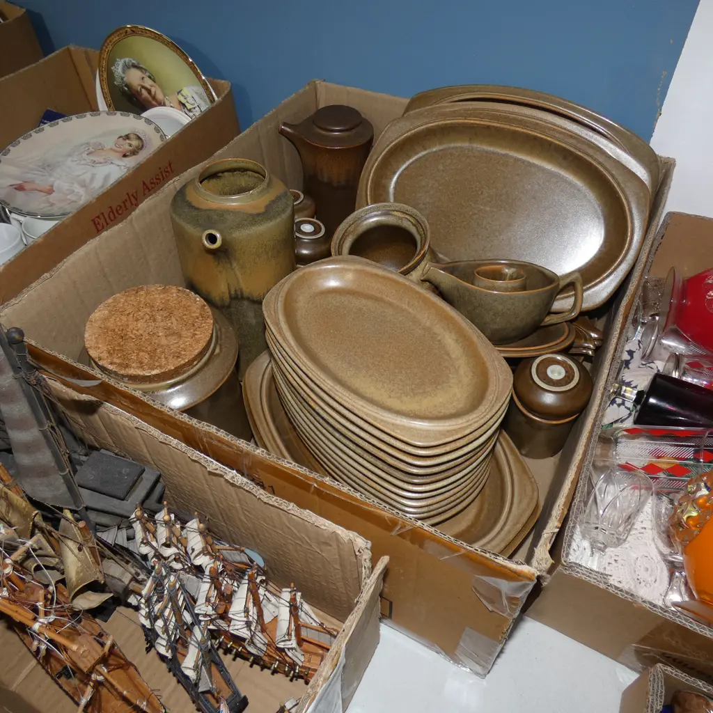 BOX LOT TEMUKA DINNER WARE Image 1++