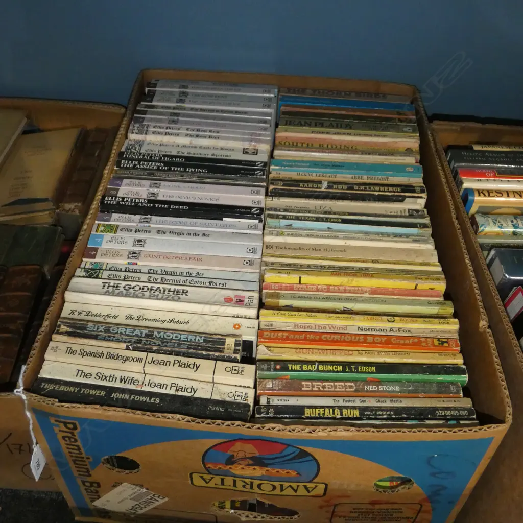 BOX LOT BOOKS; PULP FICTION ETC Image 1++
