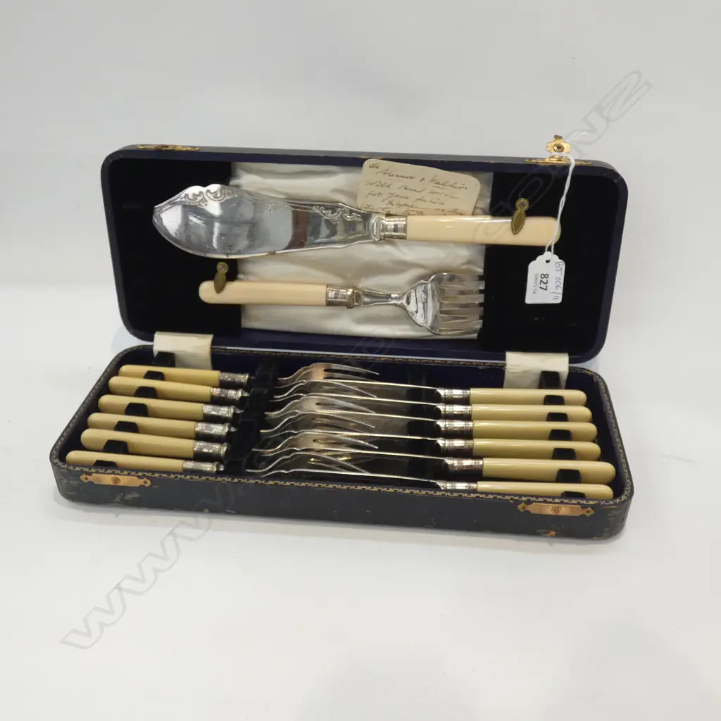 CASED FISH SET Image 1++