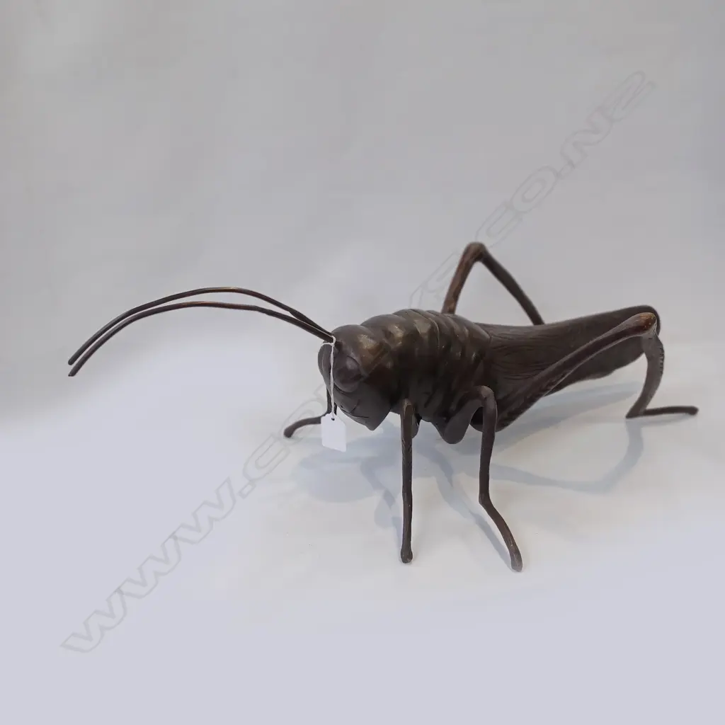BRONZE CRICKET INSECT L.590mm Image 1++