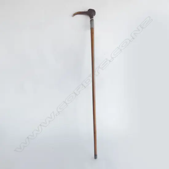 ANTIQUE WALKING STICK; ANTLER HANDLE & STG SILVER BAND 