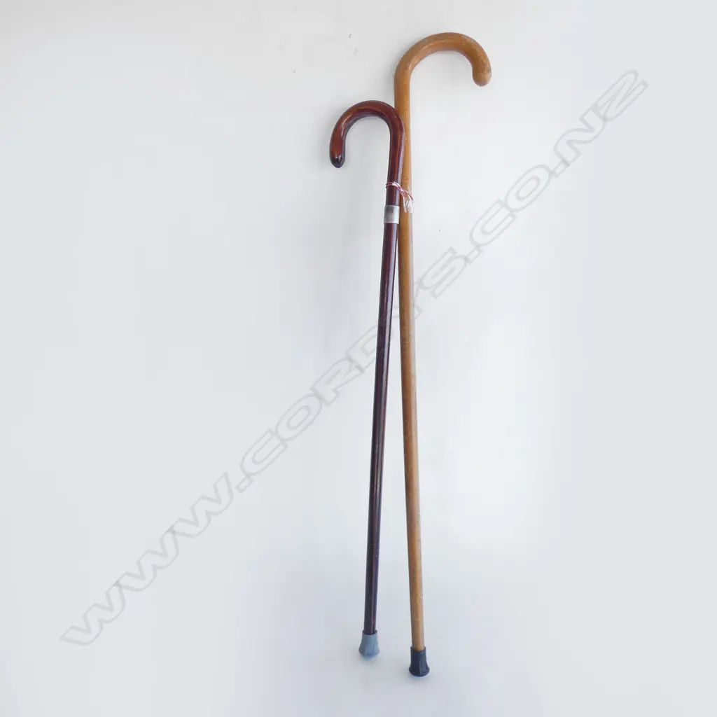 TWO OLD WALKING STICKS Image 1++