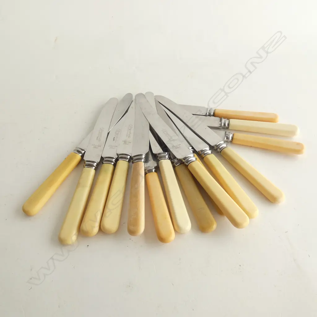 15 ASST. 'BONE' IVORINE HANDLED KNIVES L.205mm Image 1++