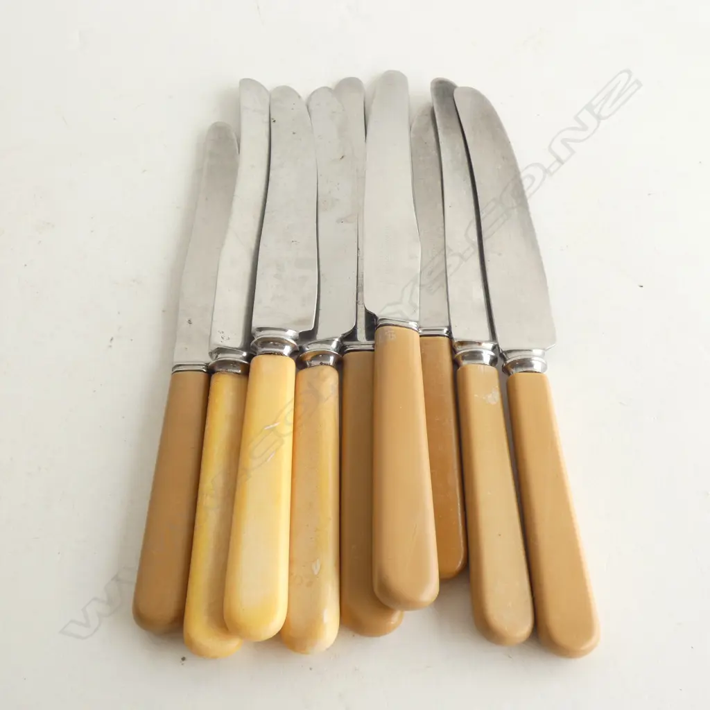 9 ASST. 'BONE' IVORINE HANDLED KNIVES L.240mm Image 1++