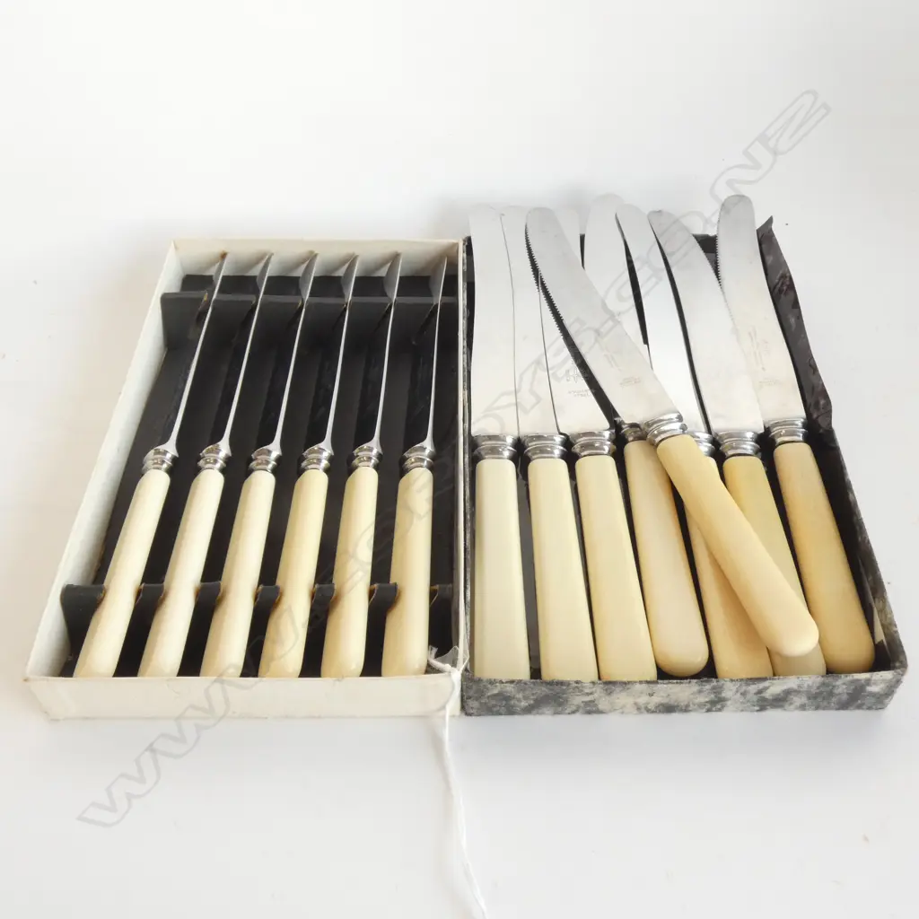 11 IVORINE 'BONE' HANDLED KNIVES Image 1++