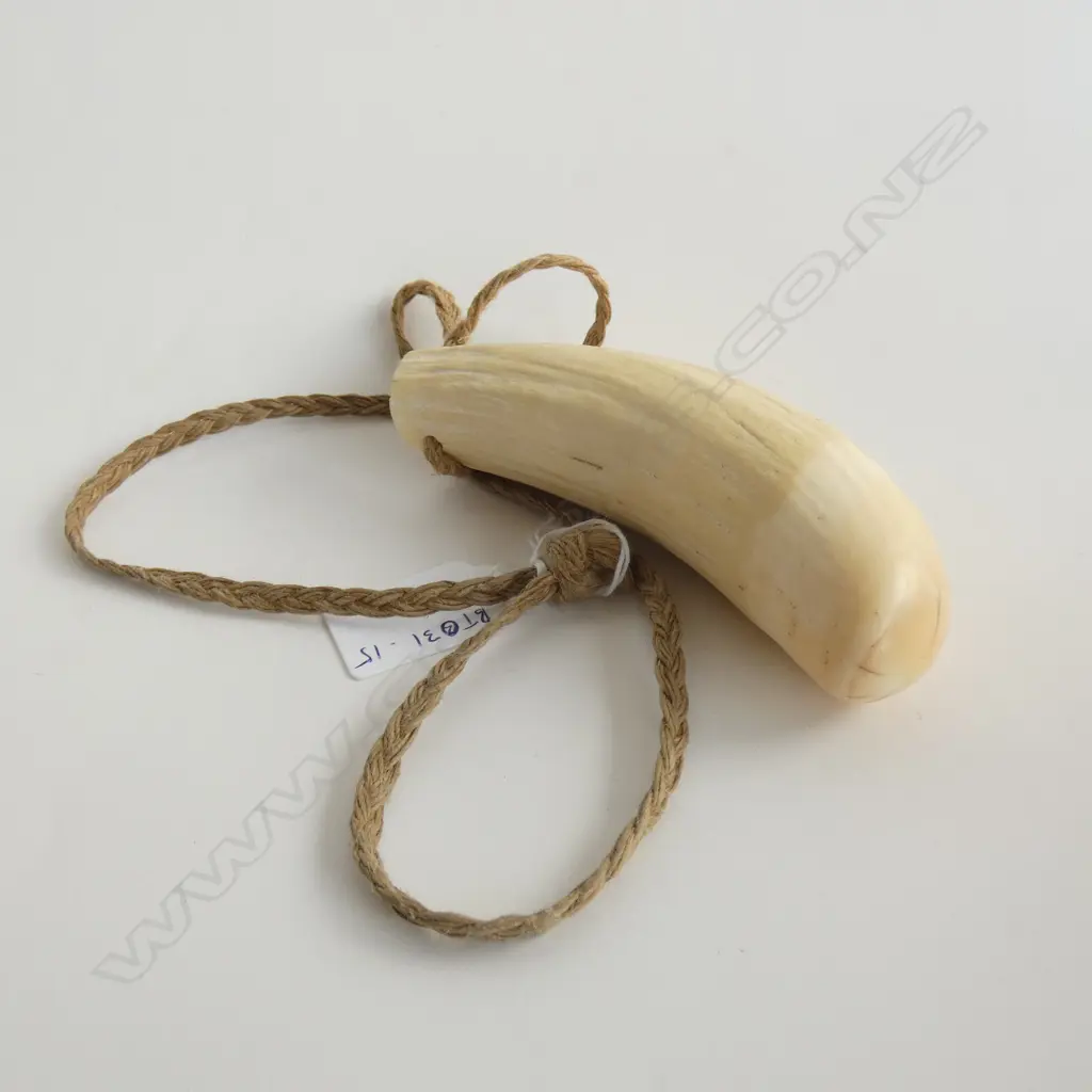 WHALES' TOOTH PENDANT  Image 1++