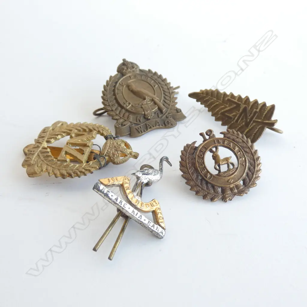 5 ASST. NZ WWI BADGES; NELSON, CANTERBURY, WAAC ETC Image 1++