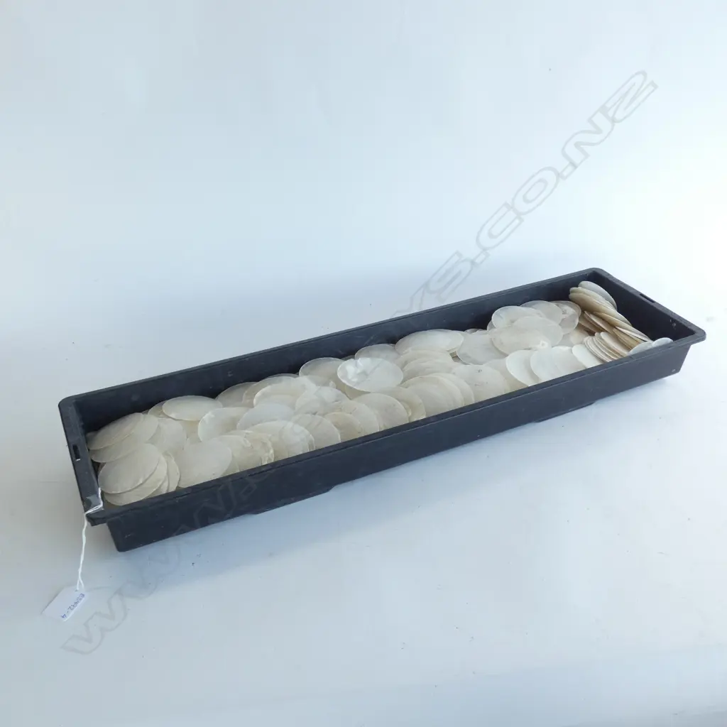 LG TRAY ASST SIZED ROUND CUT WHITE CAPIZ SHELLS Image 1++