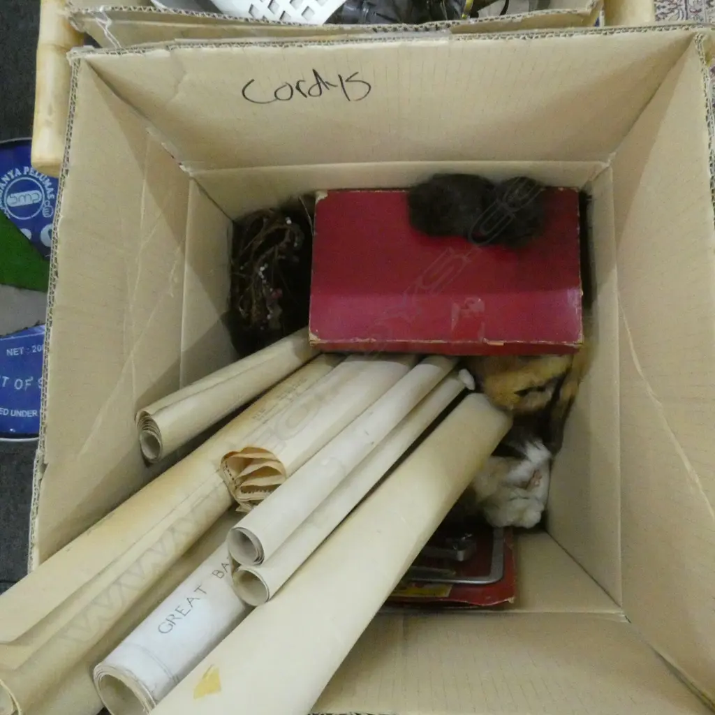 BOX LOT FUR TRIMS, EIDERDOWN, MAPS, BIRD EGGS, SHELLEY ROCK GARDEN TRIO AF Image 1++