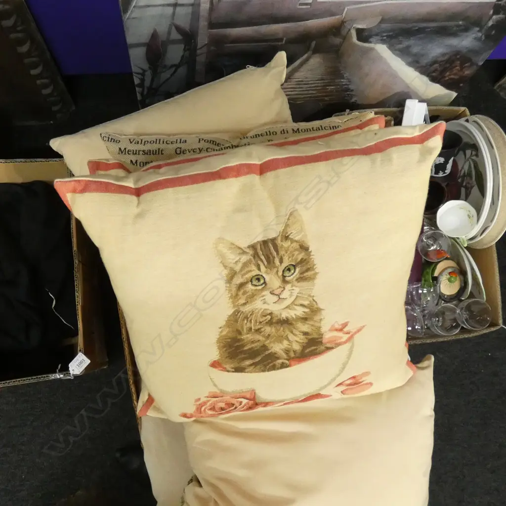 6 CUSHIONS; 2 CAT DESIGN & 3 FRENCH WRITING DESIGN etc Image 1++