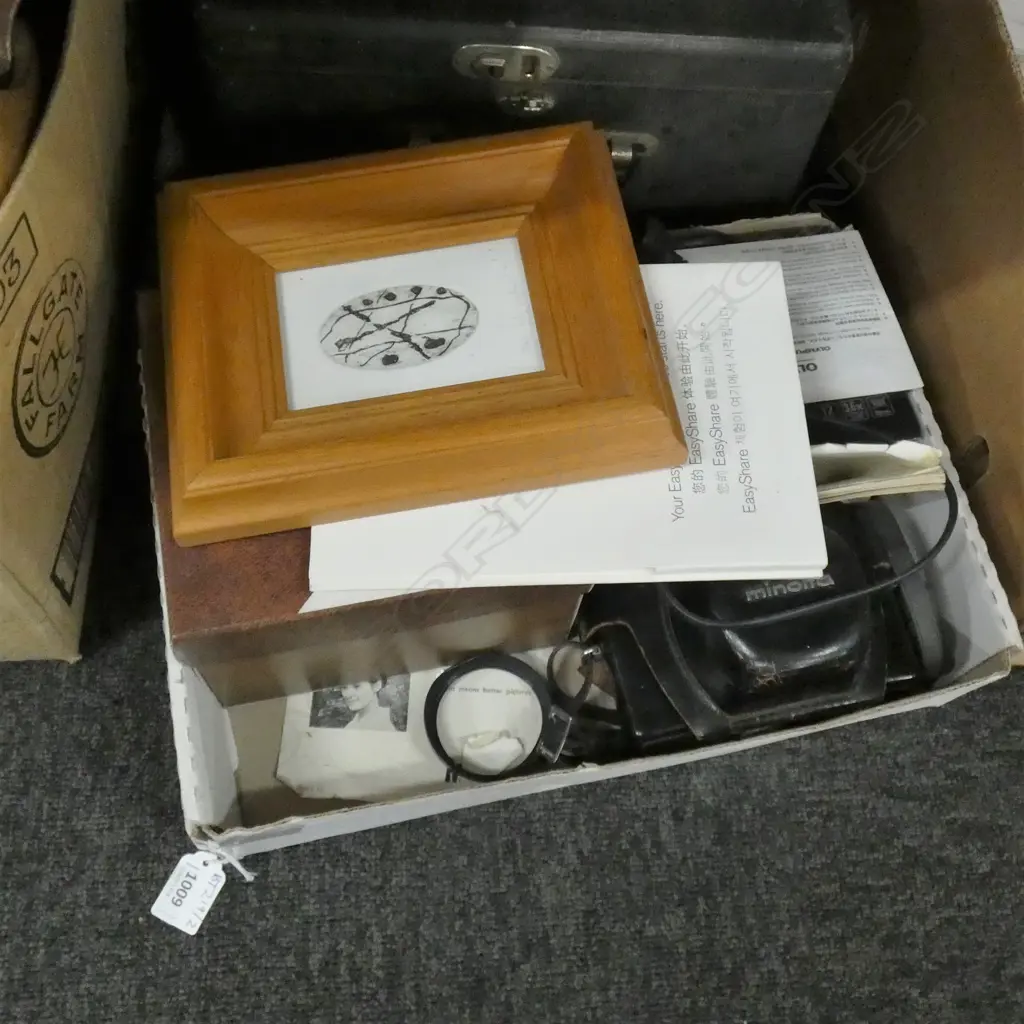 BOX LOT CAMERAS, HOLLY SHEPHERD PRINT Image 1++
