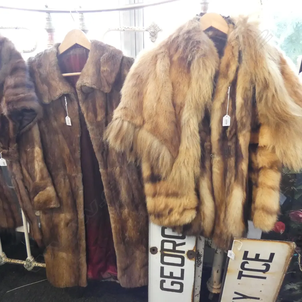 2 FUR COATS & A CAPE Image 1++