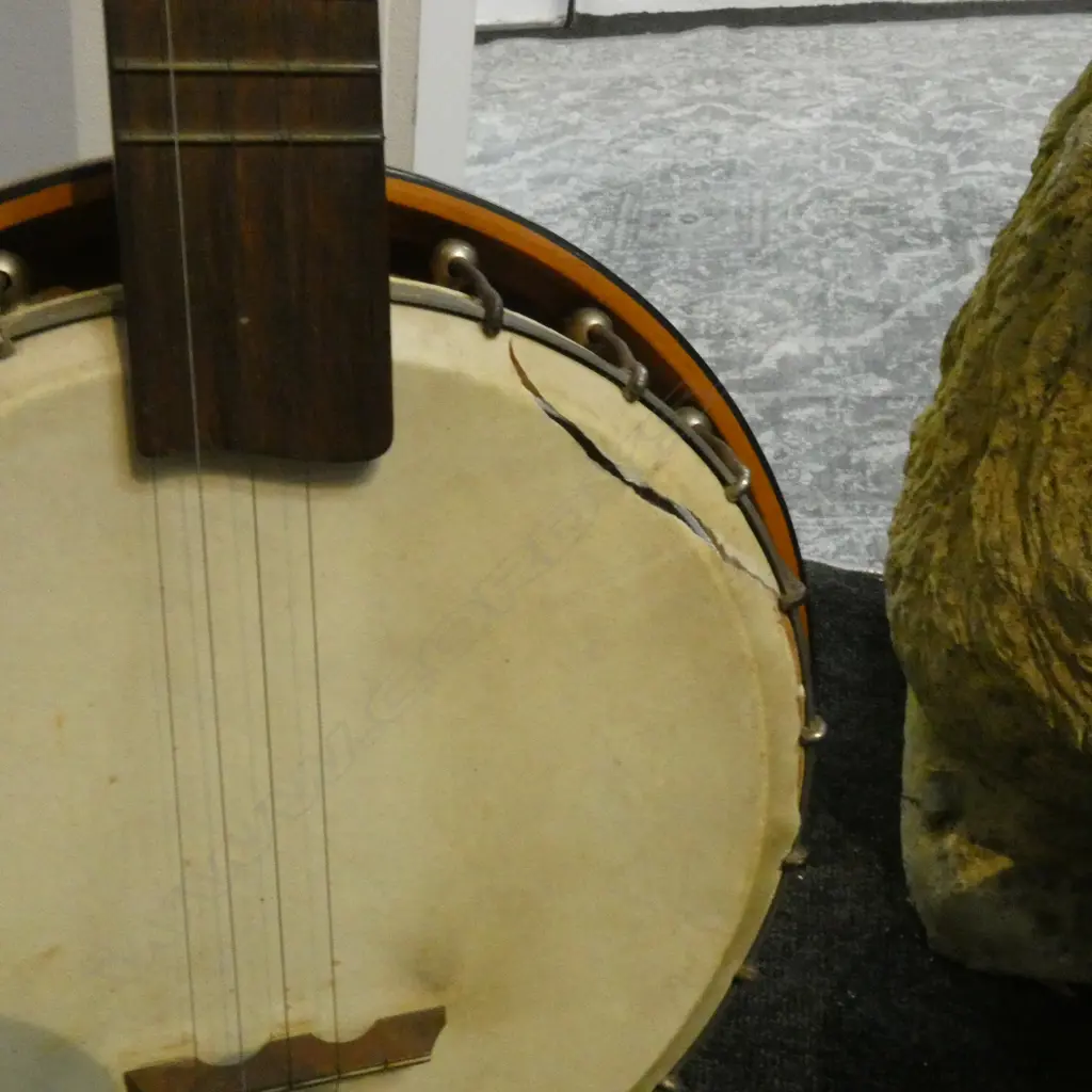VINTAGE 5 STRING BANJO IN LEATHER CASE AF (NEW SKIN & STRINGS REQ.) Image 1++