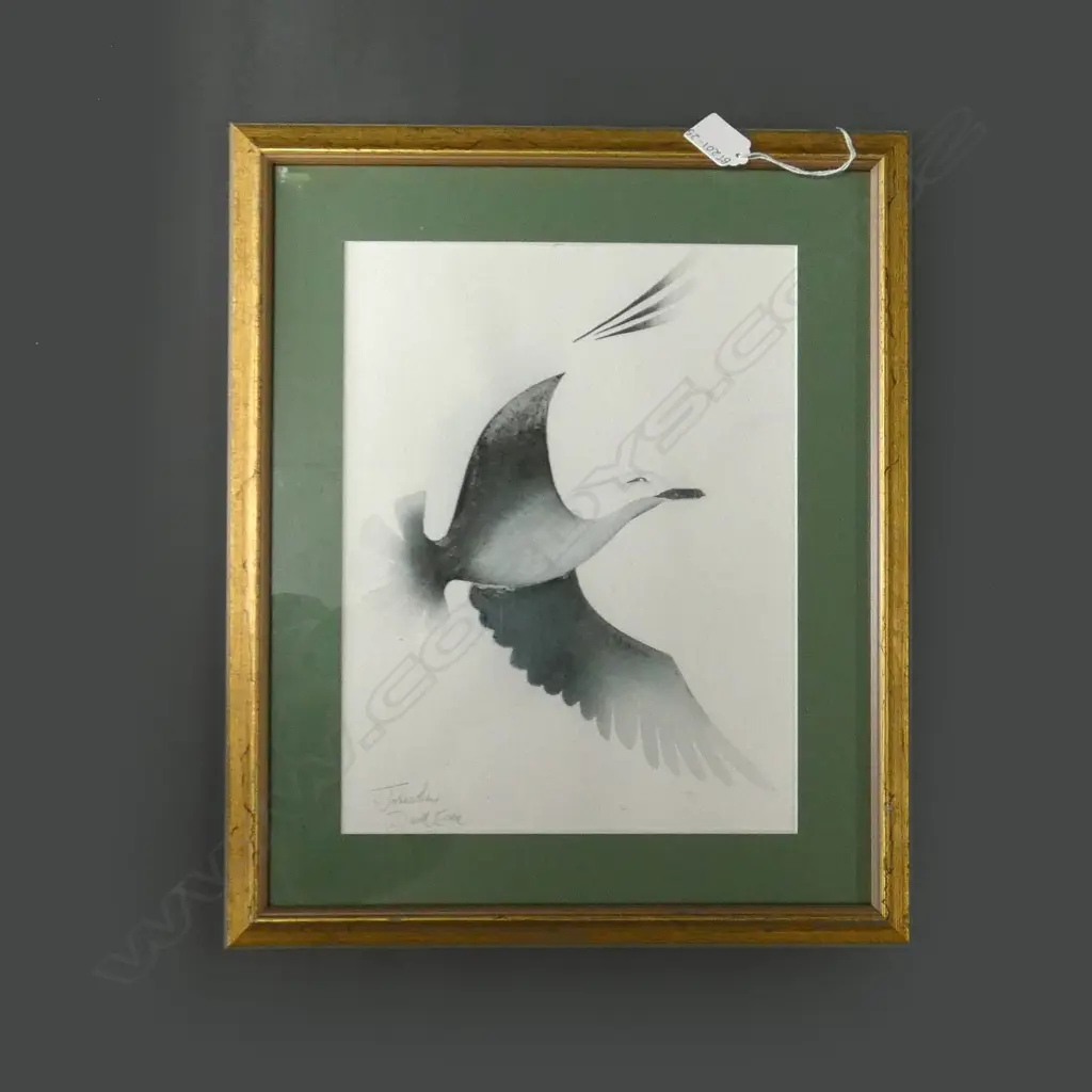 WATERCOLOUR 'SEAGULL' BY JONATHAN DAVID EADIE  245 X 320MM Image 1++