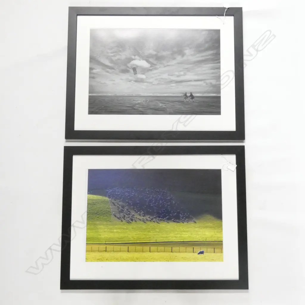 2  PHOTOS. SHEEP & KITE FLYING Image 1++
