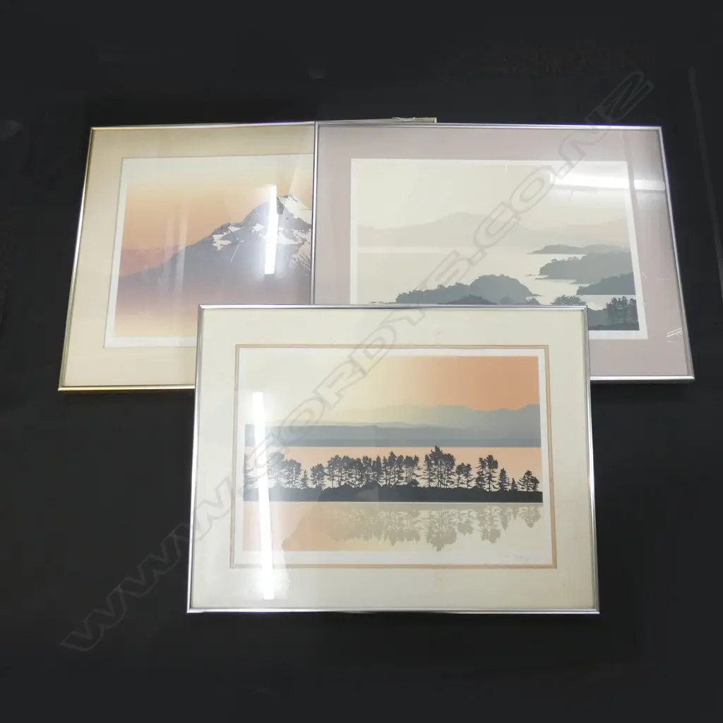 3 LTD ED SIGNED PRINTS - NZ WATER COLOUR SCENES BY CARRIE LEITCH (?) 530 X 380MM Image 1++