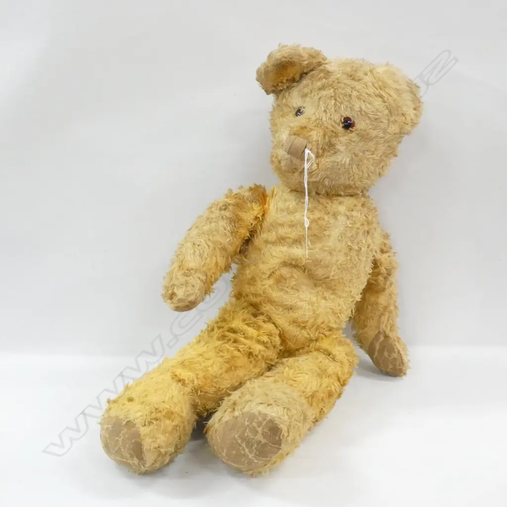 ANTIQUE TEDDY  Image 1++