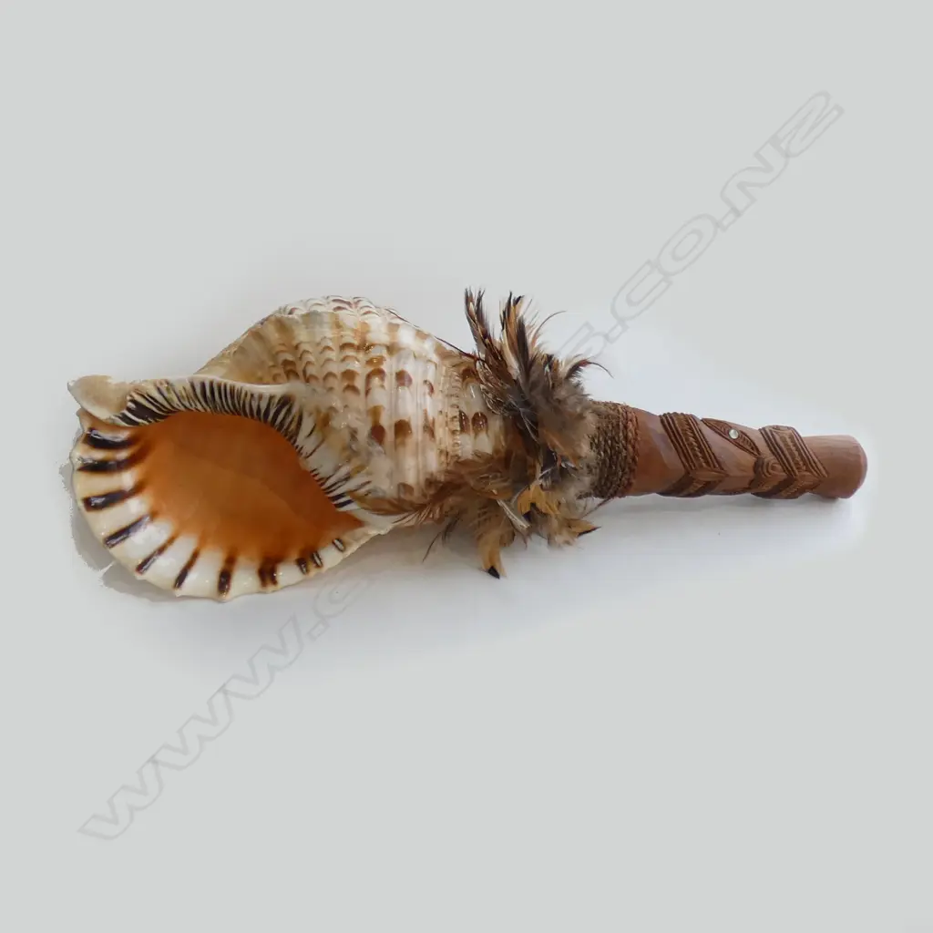 MAORI PUTATARA SHELL TRUMPET CARVED WOODEN HANDLE L.430mm Image 1++
