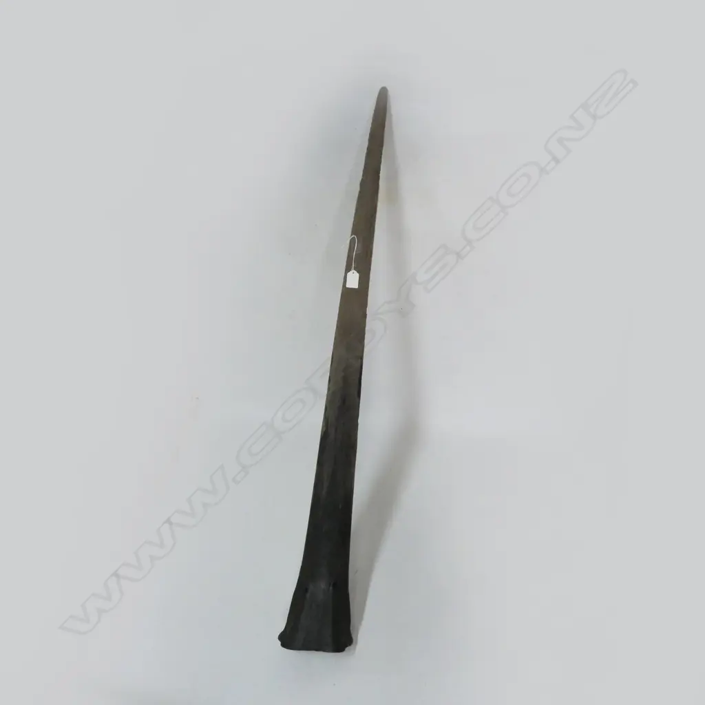 LARGE BROAD BILL TROPHY Image 1++