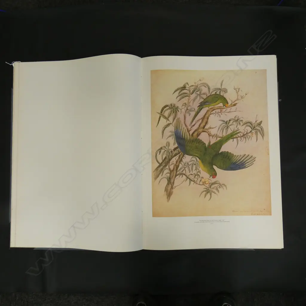 'A FOLIO OF WATERCOLOURS BY CHARLES HEAPHY', EDITED BY ANTONY MURRAY-OLIVER. 730 x 520mm Image 1++