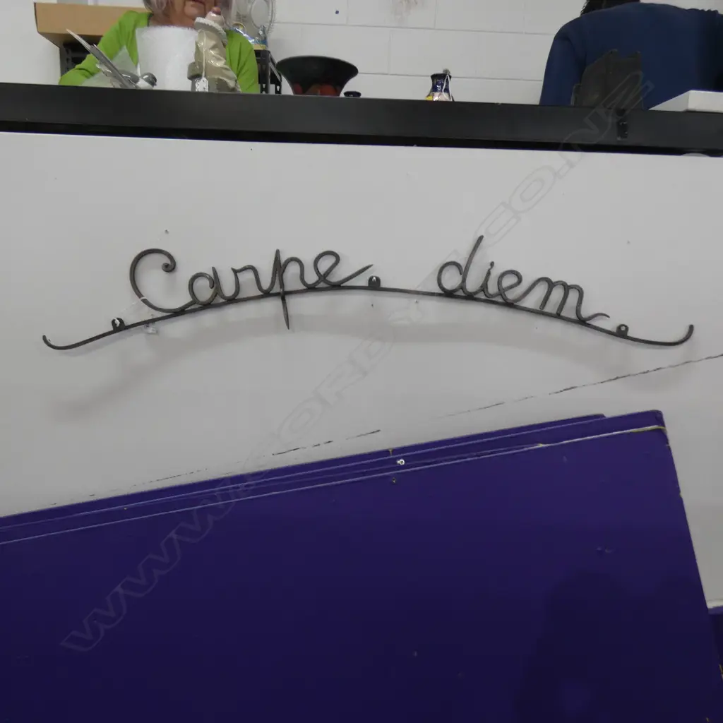 LARGE BRASS ENTRANCE SIGN 'CARPE DIEM' - L. 1010MM Image 1++