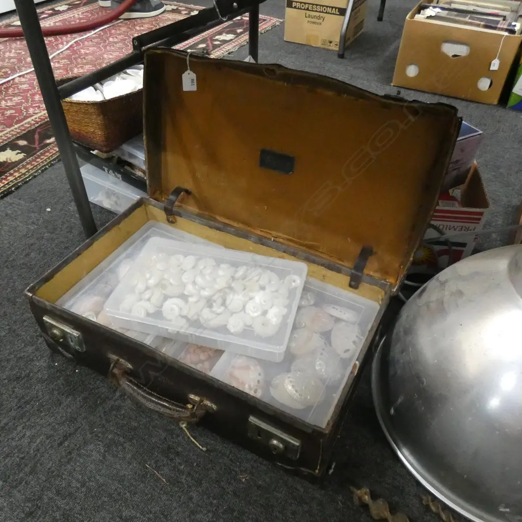 OLD LEATHER SUITCASE w. ASST. SHELLS Image 1++