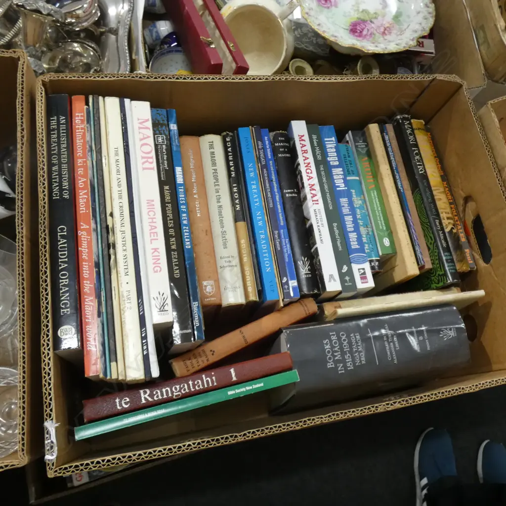 BOX ASST BOOKS; MAORI SOCIETY / POLITICS / LIT ETC.  Image 1++