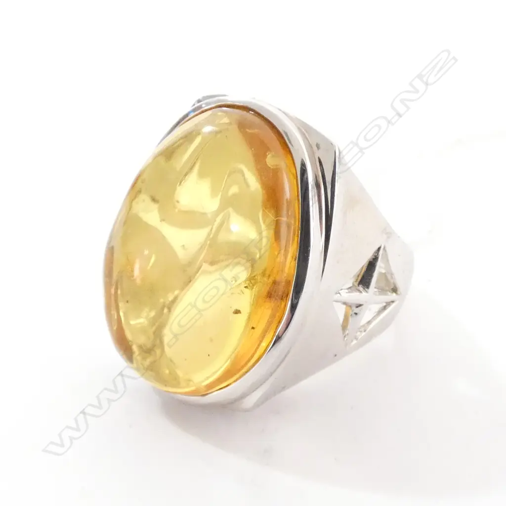 SILVER AMBER INSECT RING Image 1++