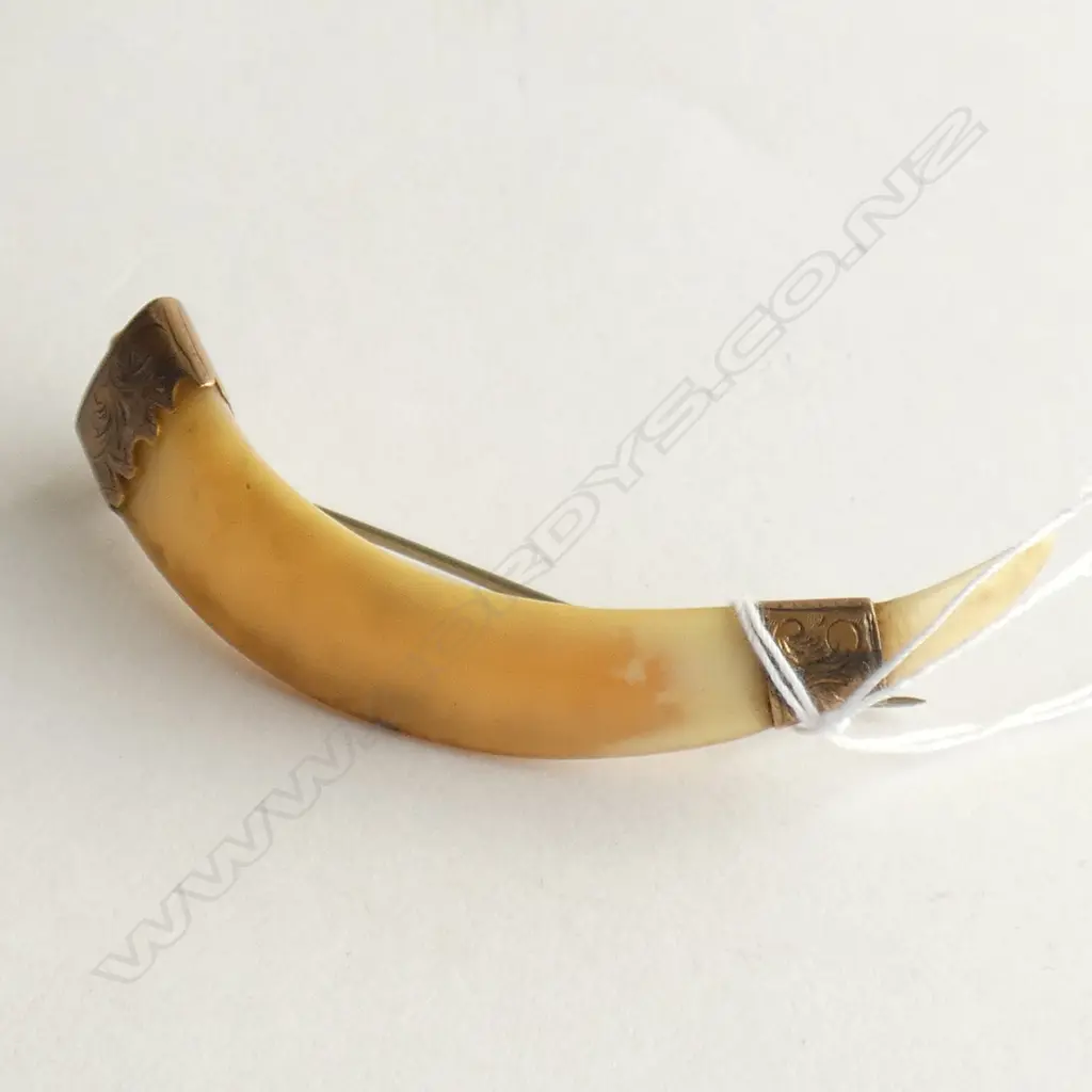 (55) NZ COLONIAL 9CT & BOAR'S TUSK BROOCH Image 1++