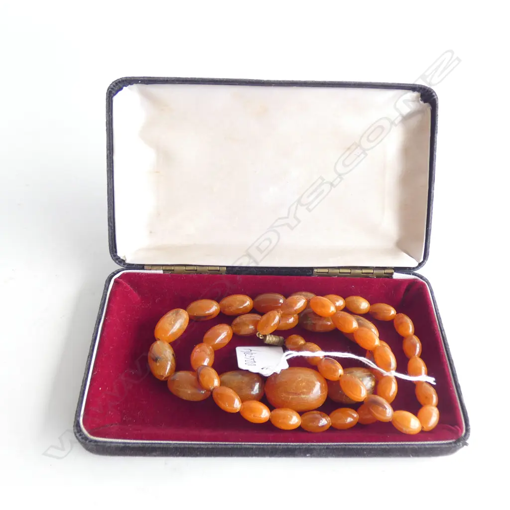 AMBER NECKLACE Image 1++