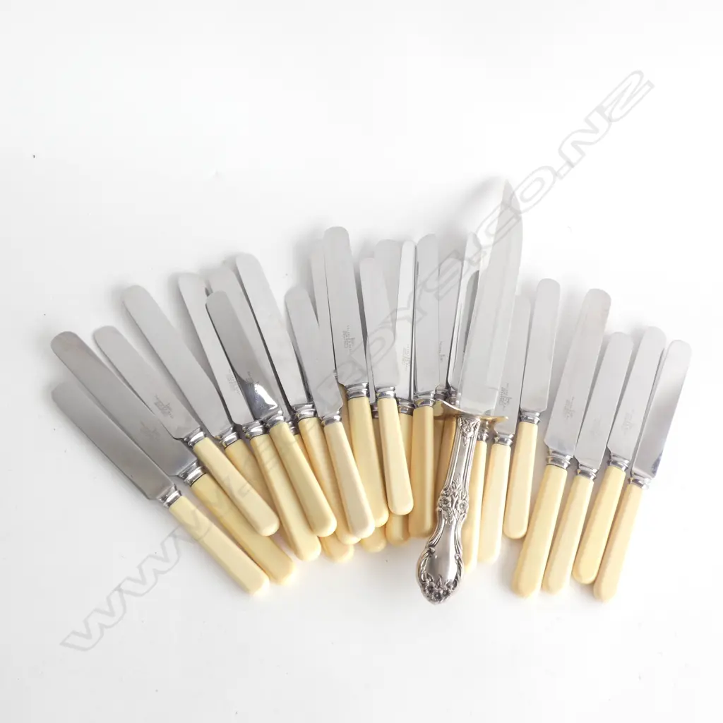 LG BAG CELLULOID HANDLE KNIVES + EP CARVER W. STAINLESS STEEL BLADE Image 1++