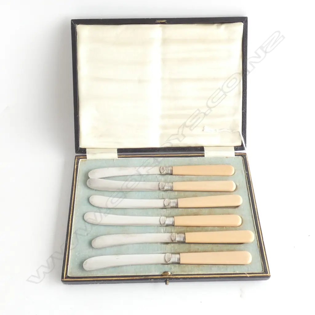 BOXED SET OF 6 S/PLATE SHEFFIELD BUTTER KNIVES Image 1++