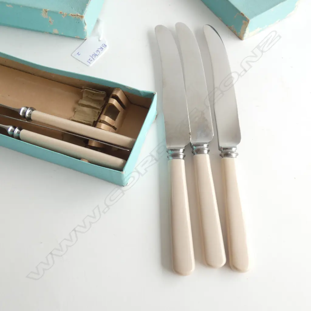 2 BOXES 'BONE' HANDLED KNIVES  Image 1++