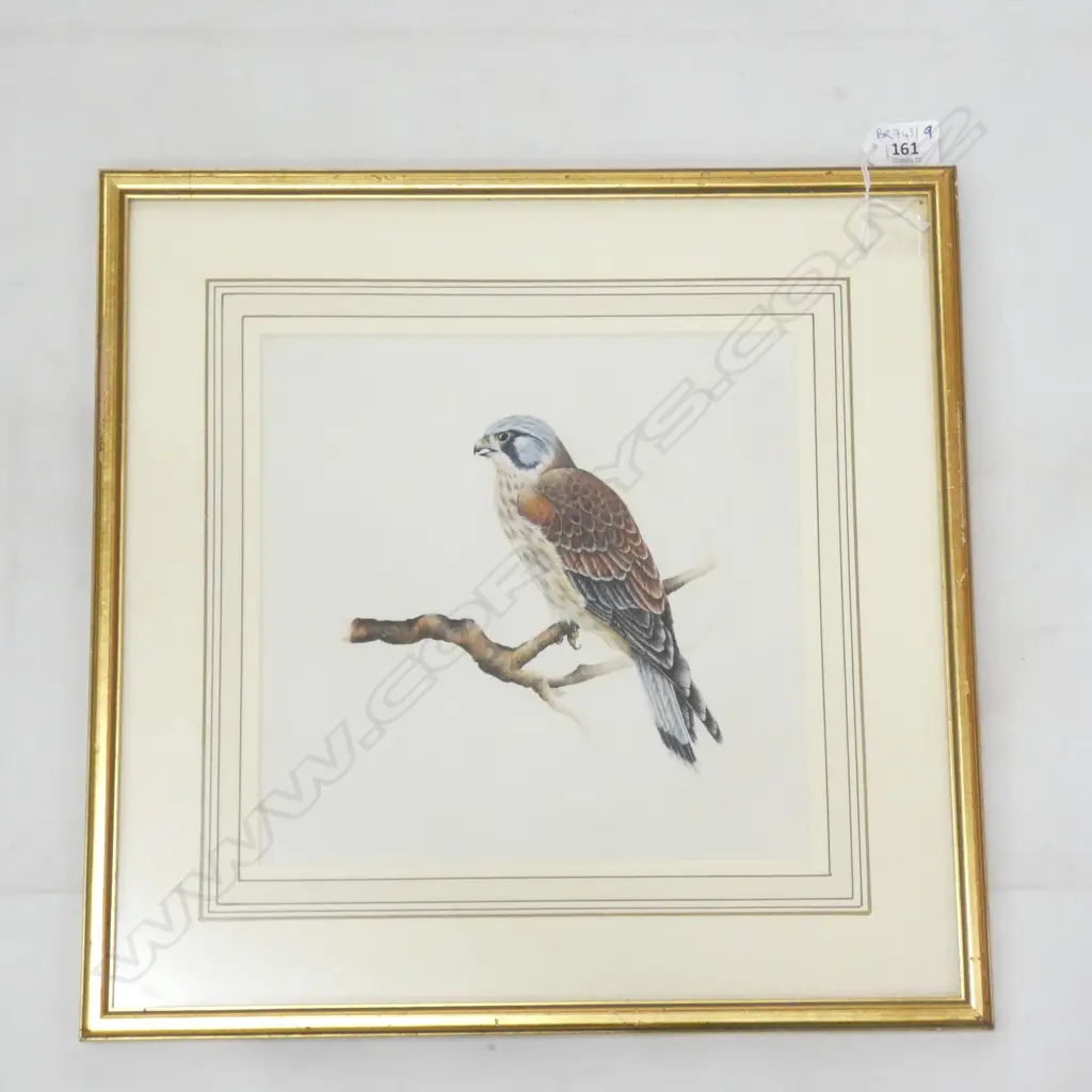 ALISON ORMSBY BIRD PAINTING 1985 230x225mm Image 1++