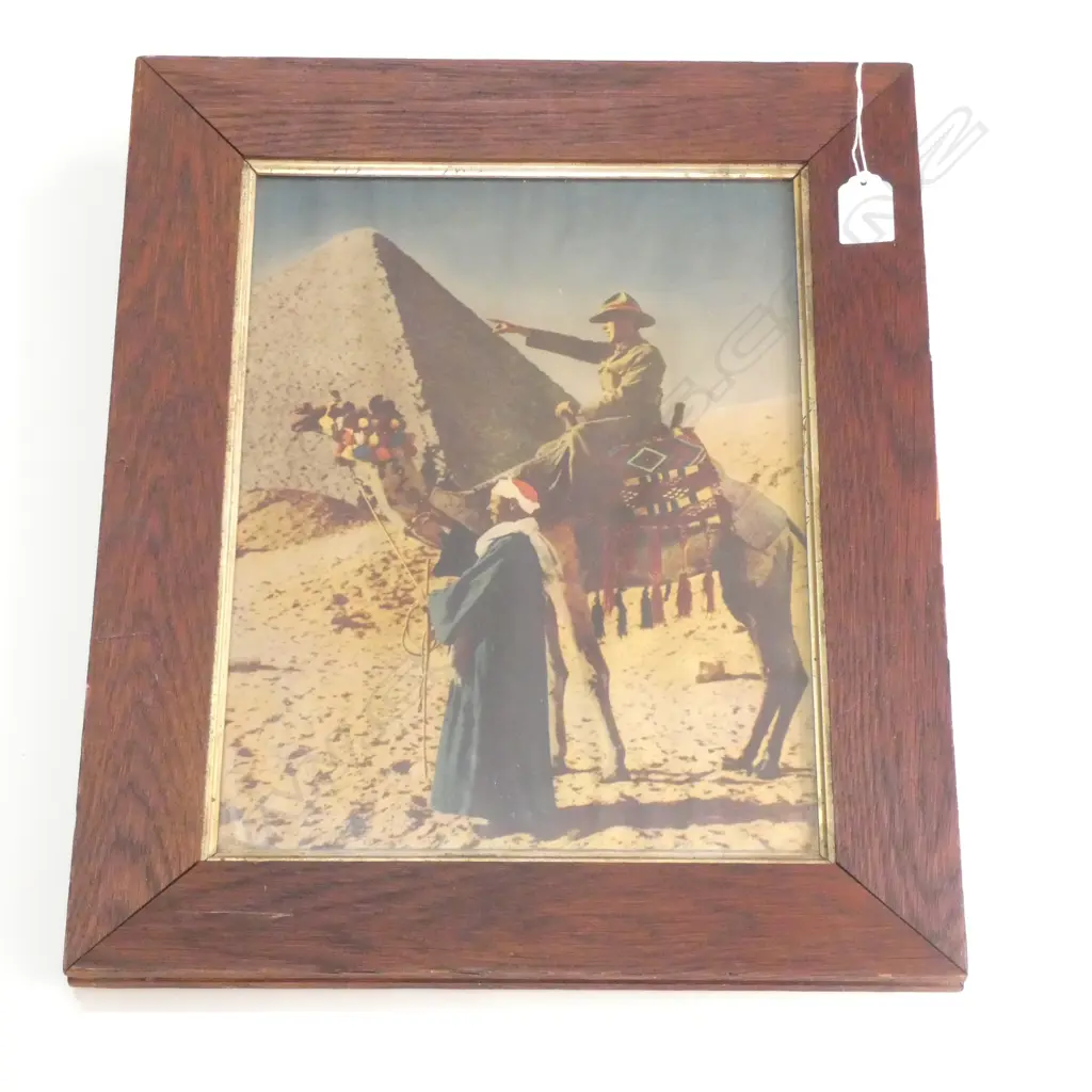 FRAMED & GLAZED COLOURED IMAGE OF NZEF WW1 SOLDIER ON CAMELBACK IN FRONT OF PYRAMID Image 1++