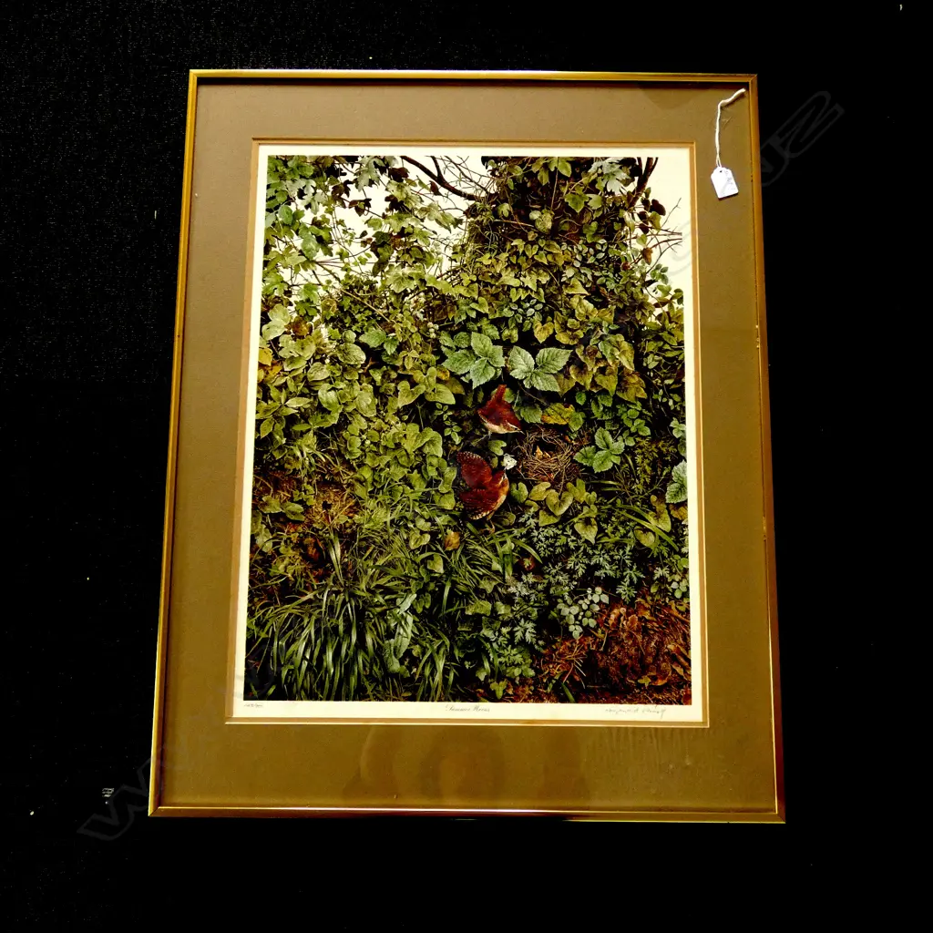 RAYMOND CHING LTD ED PRINT 'SUMMER WRENS' 148/850 Image 1++