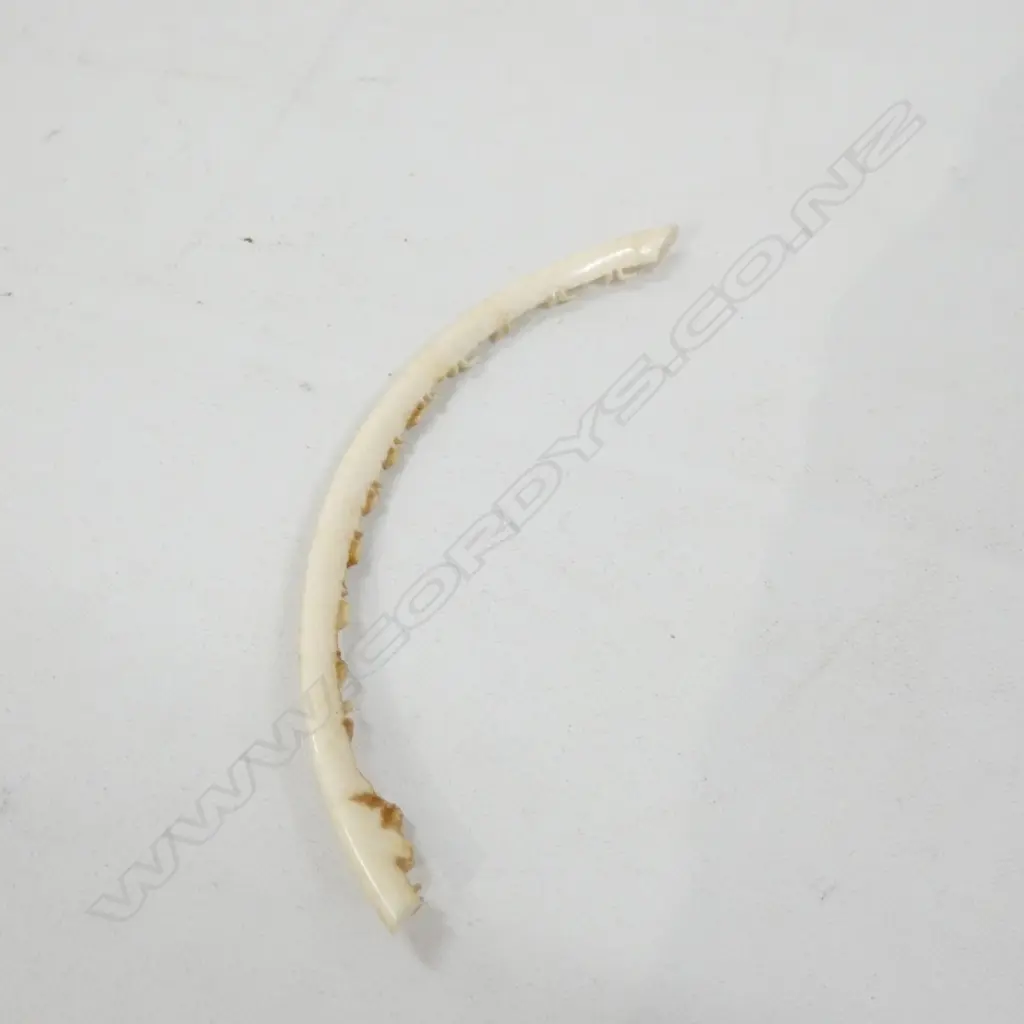 PR SM IVORY CARVED ORNAMENTAL PLATES  DIA 100MM  BOTH A/F Image 1++