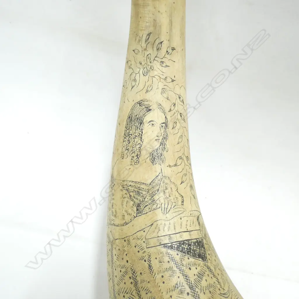 BUFFALO HORNS WITH INKED DESIGNS - MOUNTED ON BOARD WITH LEATHER BINDING L645MM  Image 1++