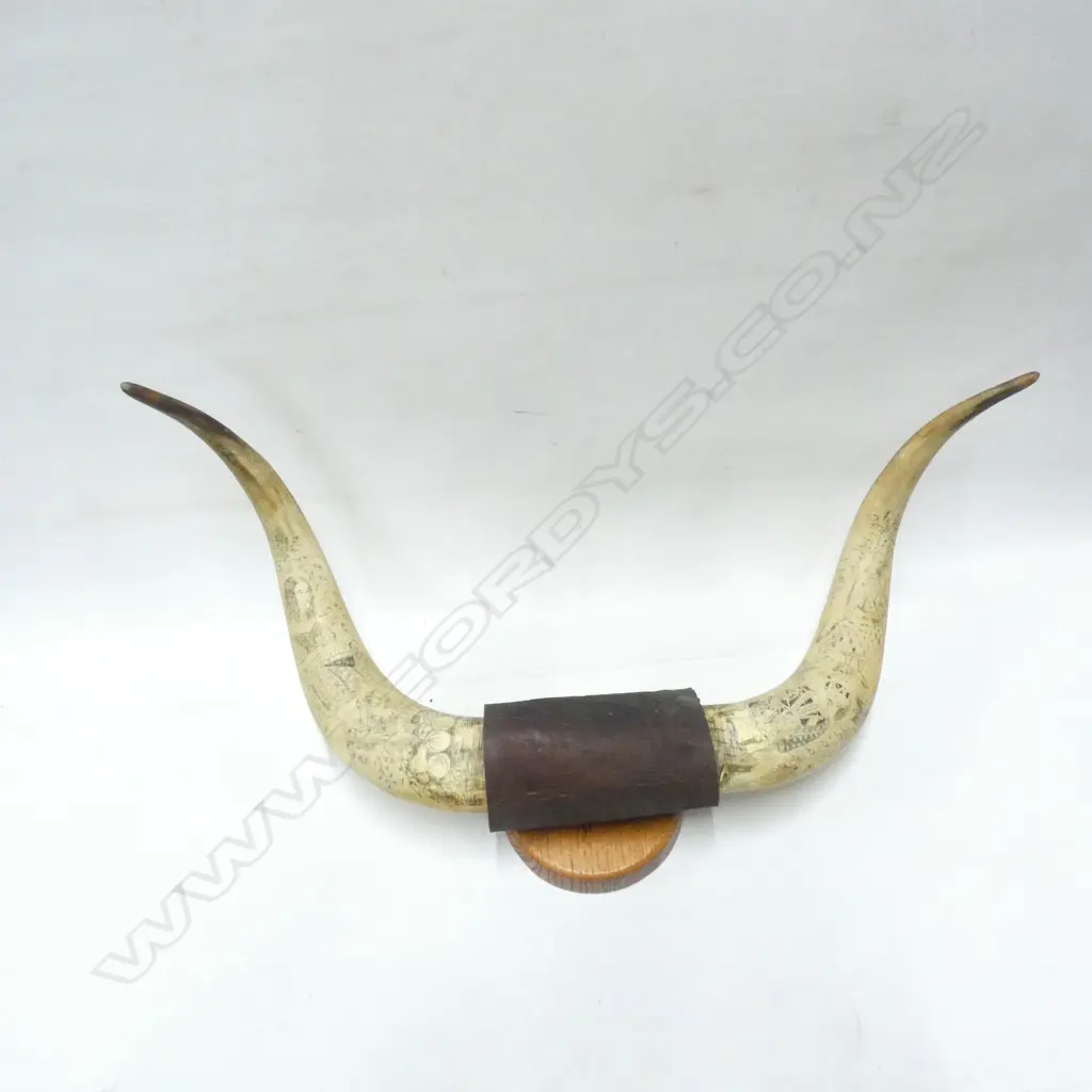 BUFFALO HORNS WITH INKED DESIGNS - MOUNTED ON BOARD WITH LEATHER BINDING L645MM  Image 1++