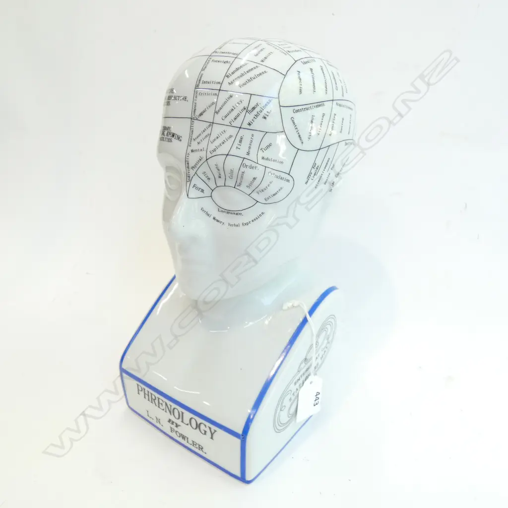 PORCELAIN PHRENOLOGY MODEL BUST H. 280MM Image 1++