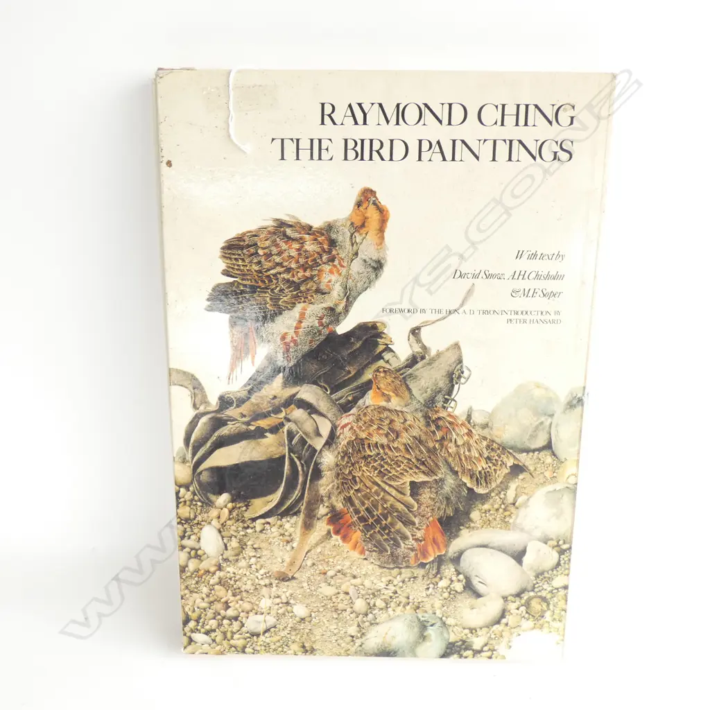 RAYMOND CHING 'THE BIRD PAINTINGS' BOOK H.490mm Image 1++