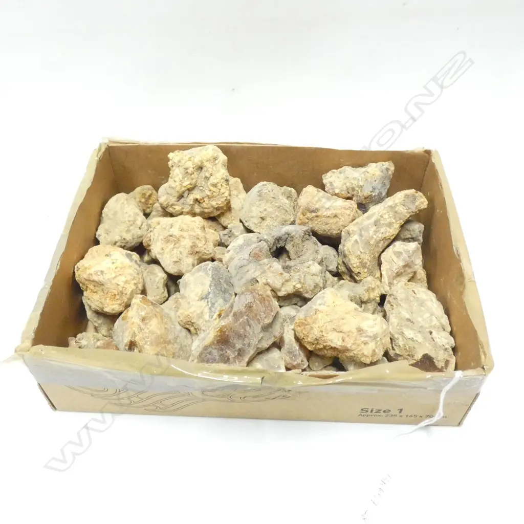 BOX KAURI GUM NUGGETS  Image 1++