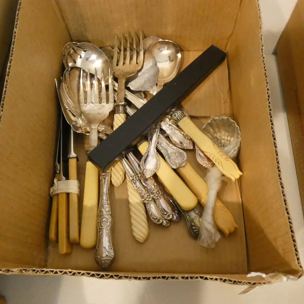 BOX LOT CUTLERY; BONE ETC.. Image 1++