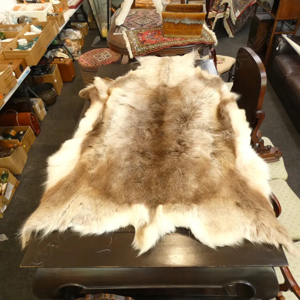 REINDEER HIDE RUG L.1450mm Image 1++