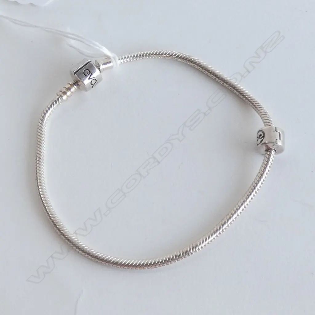 SILVER 'EVOLVE' BRACELET Image 1++