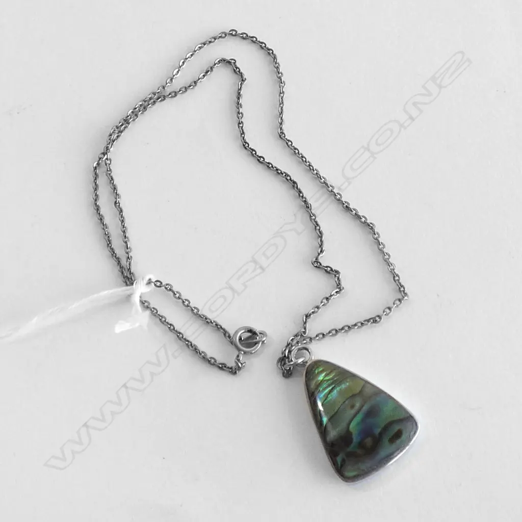 SILVER AND PAUA PENANT Image 1++