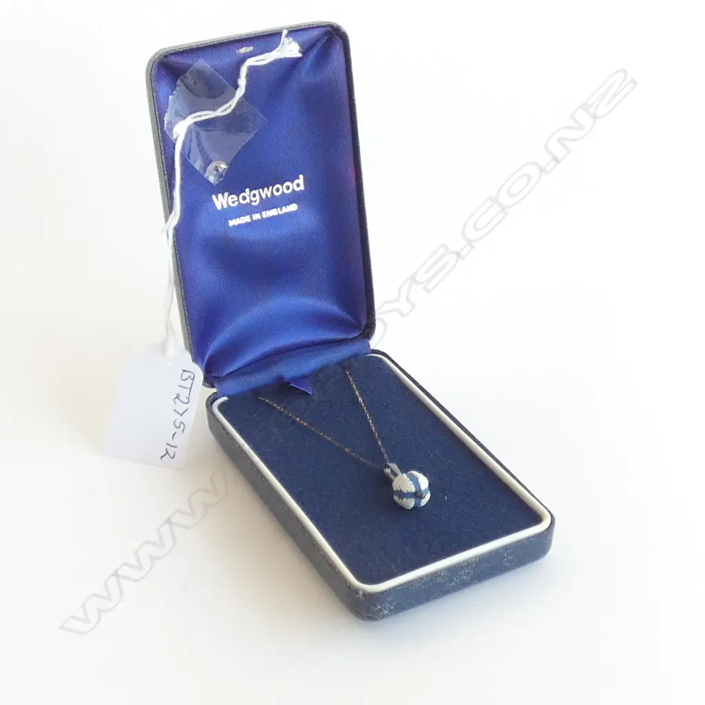 WEDGWOOD JASPER PENDANT AND CHAIN Image 1++